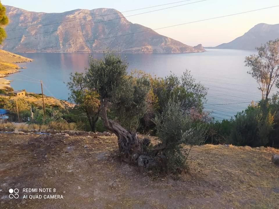 The Traditional House-Skalia,Kalymnos מראה חיצוני תמונה