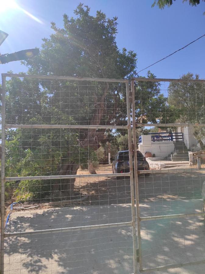 The Traditional House-Skalia,Kalymnos מראה חיצוני תמונה