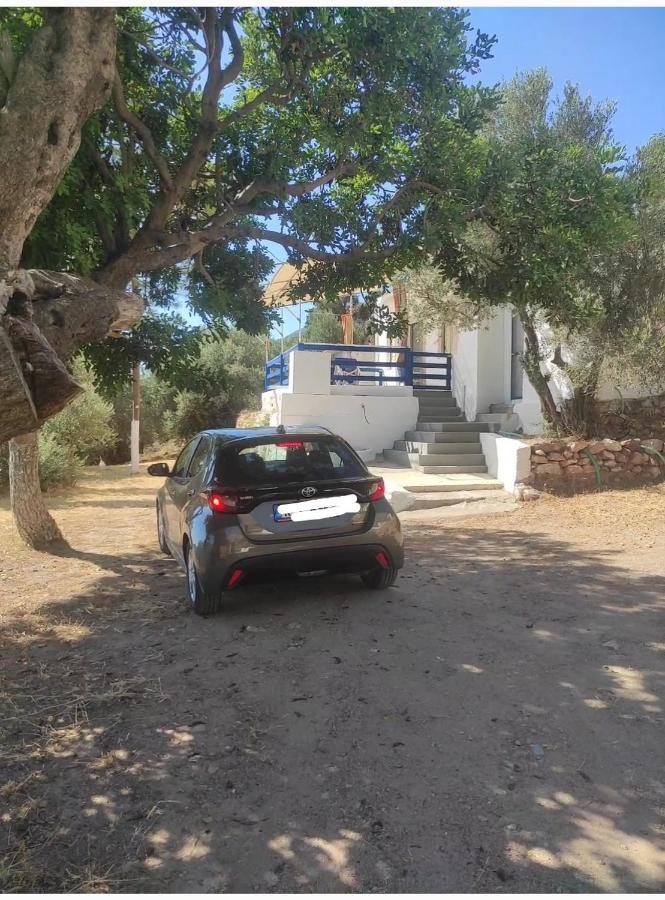 The Traditional House-Skalia,Kalymnos מראה חיצוני תמונה